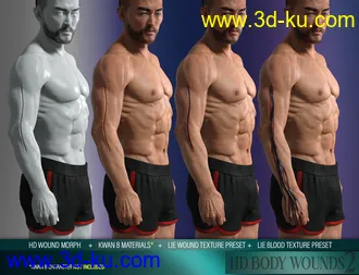 3D打印模型Body Wounds HD Morphs 2 for Genesis 8 Males的图片