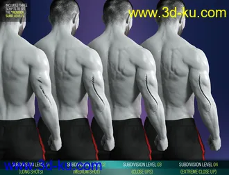 3D打印模型Body Wounds HD Morphs 2 for Genesis 8 Males的图片
