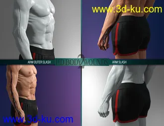 3D打印模型Body Wounds HD Morphs 2 for Genesis 8 Males的图片