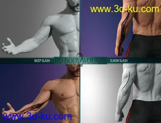 3D打印模型Body Wounds HD Morphs 2 for Genesis 8 Males的图片