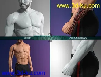 3D打印模型Body Wounds HD Morphs 2 for Genesis 8 Males的图片