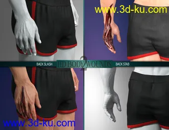3D打印模型Body Wounds HD Morphs 2 for Genesis 8 Males的图片