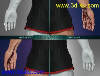3D打印模型Body Wounds HD Morphs 2 for Genesis 8 Males的图片