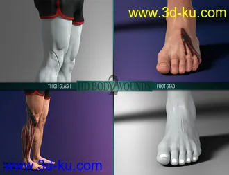 3D打印模型Body Wounds HD Morphs 2 for Genesis 8 Males的图片