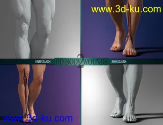 3D打印模型Body Wounds HD Morphs 2 for Genesis 8 Males的图片