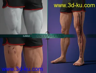 3D打印模型Body Wounds HD Morphs 2 for Genesis 8 Males的图片