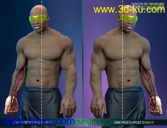 3D打印模型Body Wounds HD Morphs 2 for Genesis 8 Males的图片