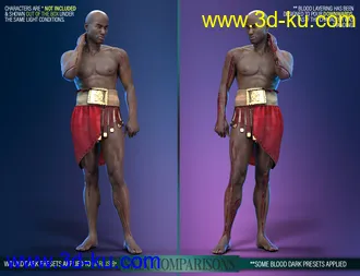 3D打印模型Body Wounds HD Morphs 2 for Genesis 8 Males的图片