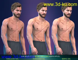 3D打印模型Body Wounds HD Morphs 2 for Genesis 8 Males的图片