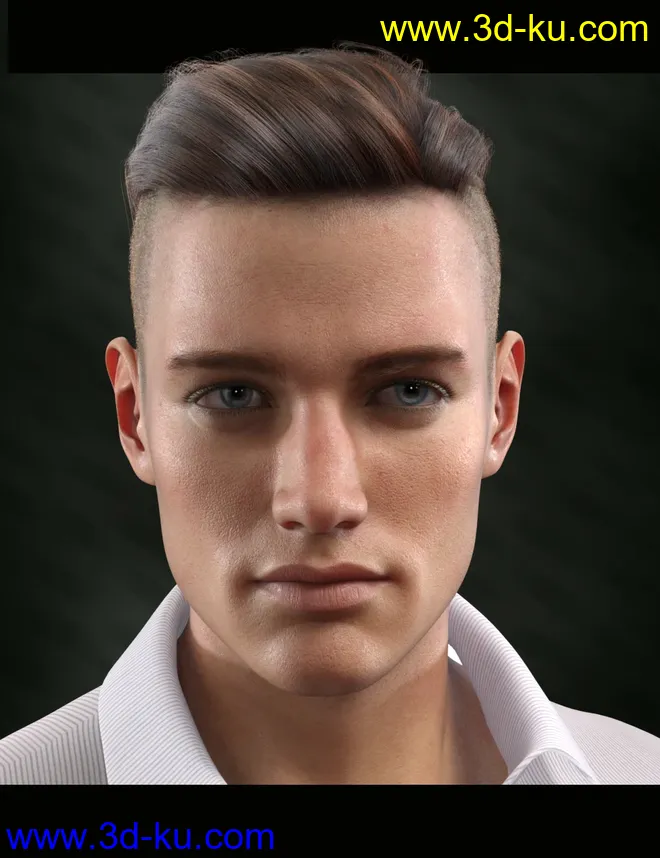 Bold Brows II Merchant Resource for Genesis 8 and 8.1 Males模型的图片1