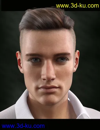 3D打印模型Bold Brows II Merchant Resource for Genesis 8 and 8.1 Males的图片