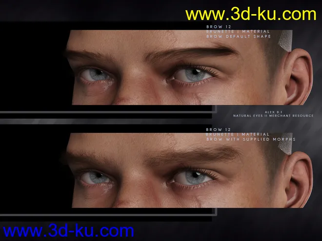 Bold Brows II Merchant Resource for Genesis 8 and 8.1 Males模型的图片2