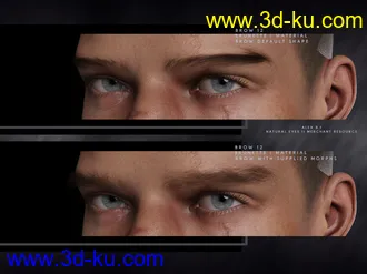3D打印模型Bold Brows II Merchant Resource for Genesis 8 and 8.1 Males的图片