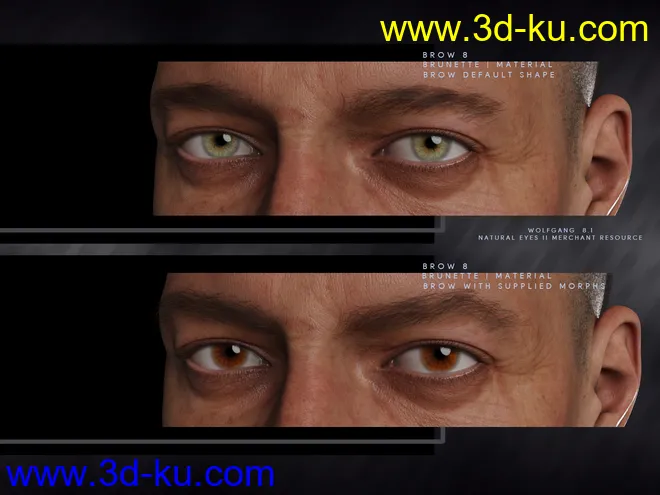 Bold Brows II Merchant Resource for Genesis 8 and 8.1 Males模型的图片3