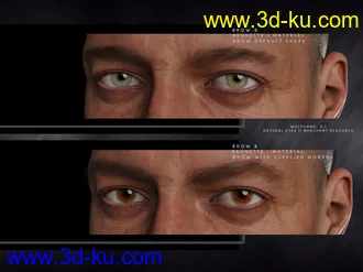 3D打印模型Bold Brows II Merchant Resource for Genesis 8 and 8.1 Males的图片