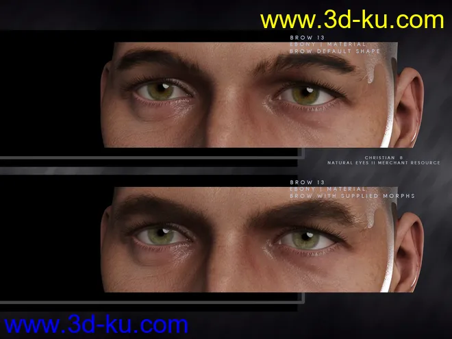 Bold Brows II Merchant Resource for Genesis 8 and 8.1 Males模型的图片4