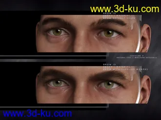 3D打印模型Bold Brows II Merchant Resource for Genesis 8 and 8.1 Males的图片