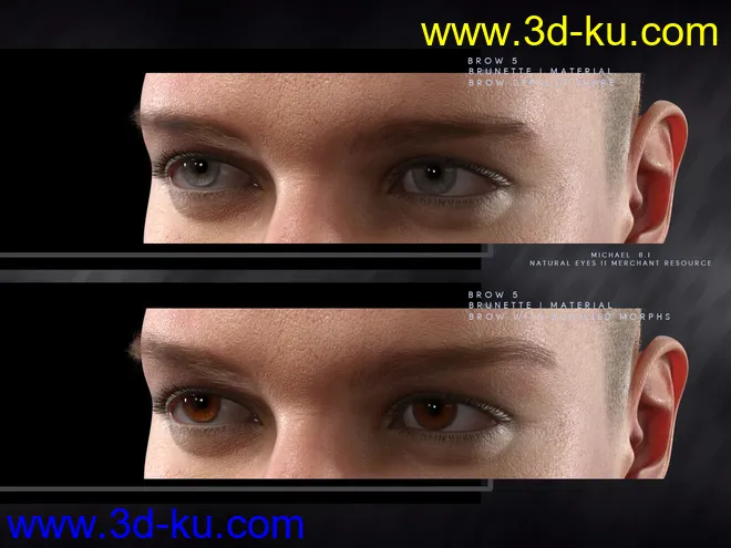 Bold Brows II Merchant Resource for Genesis 8 and 8.1 Males模型的图片5
