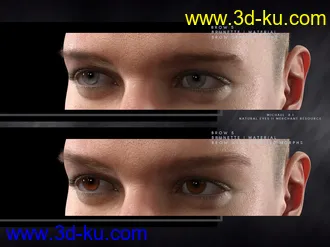 3D打印模型Bold Brows II Merchant Resource for Genesis 8 and 8.1 Males的图片