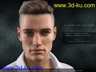 3D打印模型Bold Brows II Merchant Resource for Genesis 8 and 8.1 Males的图片