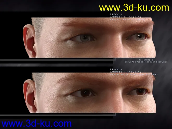 Bold Brows II Merchant Resource for Genesis 8 and 8.1 Males模型的图片7