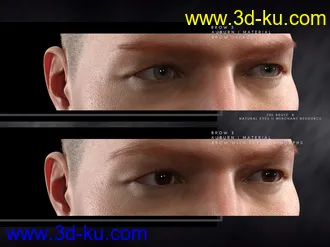 3D打印模型Bold Brows II Merchant Resource for Genesis 8 and 8.1 Males的图片