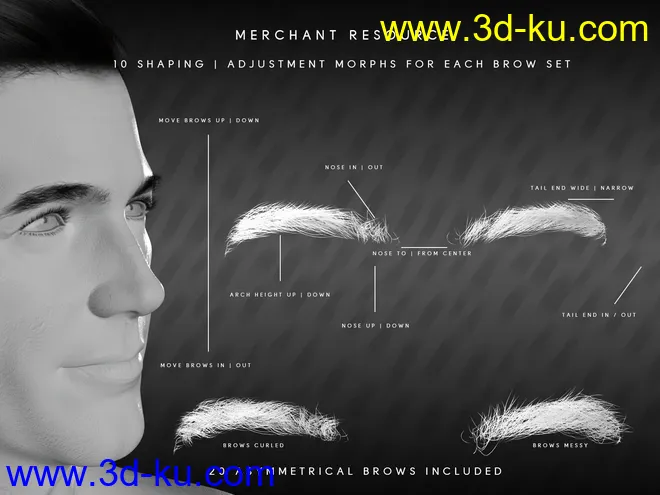 Bold Brows II Merchant Resource for Genesis 8 and 8.1 Males模型的图片8