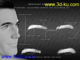 3D打印模型Bold Brows II Merchant Resource for Genesis 8 and 8.1 Males的图片