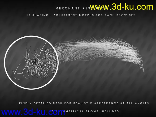 Bold Brows II Merchant Resource for Genesis 8 and 8.1 Males模型的图片9