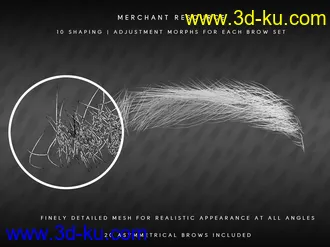 3D打印模型Bold Brows II Merchant Resource for Genesis 8 and 8.1 Males的图片