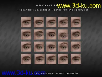 3D打印模型Bold Brows II Merchant Resource for Genesis 8 and 8.1 Males的图片