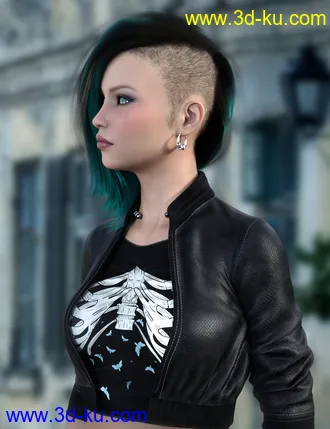 3D打印模型Cassyus Hair for Genesis 8 Females的图片