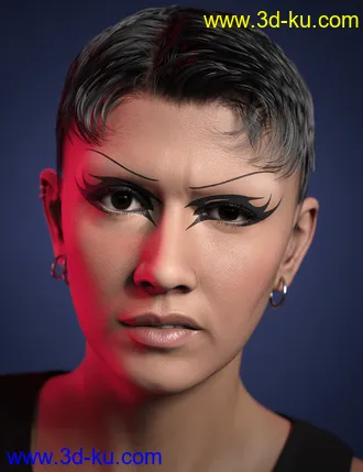 Catty 8.1模型的图片13