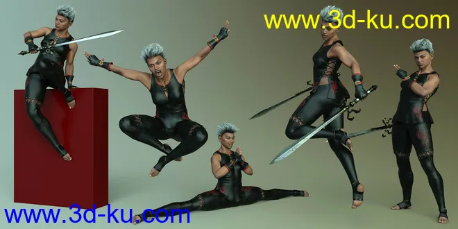 CDI Assassin Poses for Noska 8.1模型的图片3