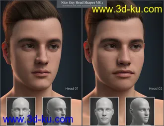 3D打印模型CGI Nice Guy - Head Shapes for Michael 8.1的图片