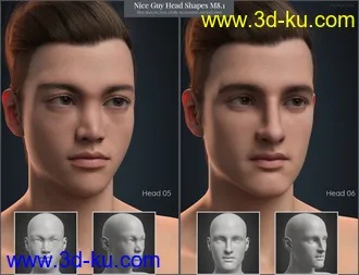 3D打印模型CGI Nice Guy - Head Shapes for Michael 8.1的图片
