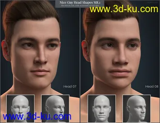 3D打印模型CGI Nice Guy - Head Shapes for Michael 8.1的图片