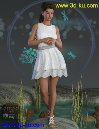 3D打印模型Cool Lace Outfit for Genesis 8 Female(s)的图片