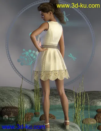3D打印模型Cool Lace Outfit for Genesis 8 Female(s)的图片