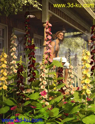 3D打印模型Cottage Garden Flowers - Hollyhocks的图片