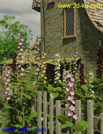 3D打印模型Cottage Garden Flowers - Hollyhocks的图片