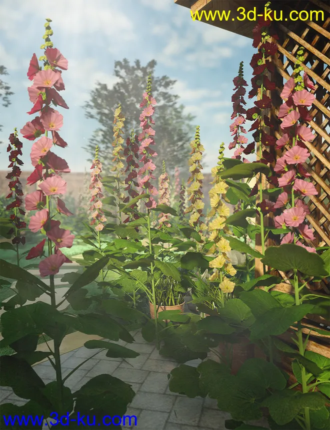 Cottage Garden Flowers - Hollyhocks模型的图片3