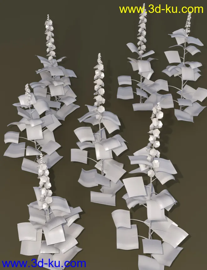 Cottage Garden Flowers - Hollyhocks模型的图片5