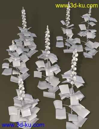 3D打印模型Cottage Garden Flowers - Hollyhocks的图片