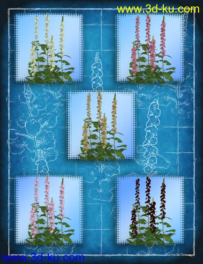 Cottage Garden Flowers - Hollyhocks模型的图片6