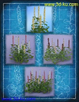 3D打印模型Cottage Garden Flowers - Hollyhocks的图片