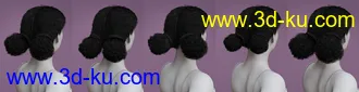 3D打印模型Curly Buns for Genesis 8 Females的图片