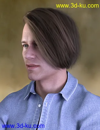3D打印模型Derrik Hair for Genesis 8 Males的图片