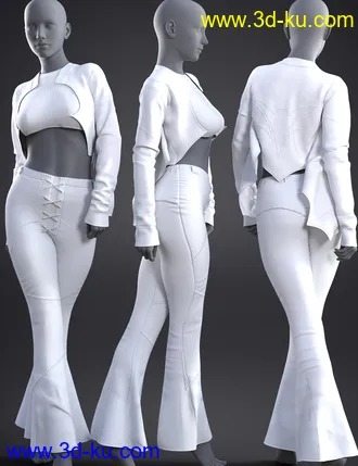 3D打印模型dForce BatWing Style Outfit For Genesis 8 and 8.1 Females的图片