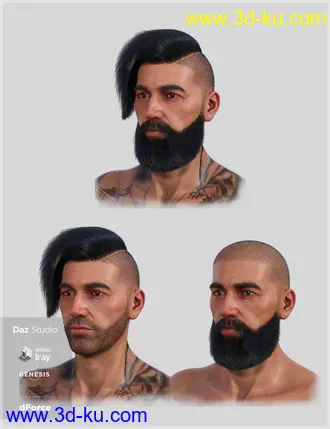 3D打印模型dForce Cool Hair for Genesis 8 Male(s)的图片